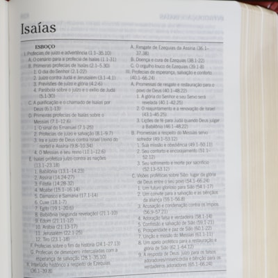 image_9b80cf8c-3685-466d-8ce1-55a59b90fa4c