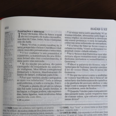 image_f726bc3c-ea9d-4ec3-8ac6-194d2e2c186d