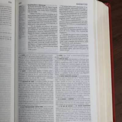 image_db7afa8b-2ff2-4a6b-8112-5547debc9a7e