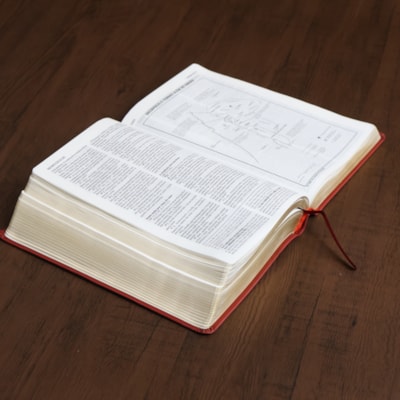 image_225ee6db-afb7-4038-b435-9adf5a8bc7d9