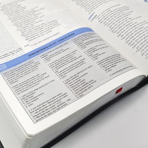 Bíblia de Estudo Pequenos Grupos | NVI Letra Normal | Capa Luxo Preta