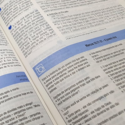 image_21e24521-1ff0-446a-b091-8a45a6e75357