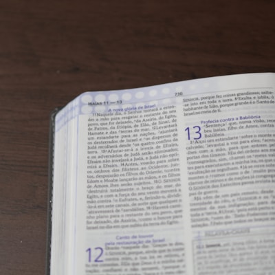 image_28c4de6d-aaa8-4c1e-8f72-e042b83fcd9d