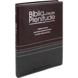 Bíblia de Estudo Plenitude | ARC | Letra Normal | Capa Luxo Cinza Chumbo e Bordô | Com Índice