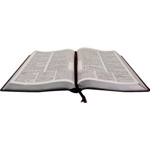 Bíblia de Estudo Plenitude | Letra Normal | ARC | Capa Luxo Bordo e Chumbo