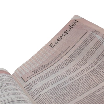 image_b2c34f51-6639-4ac6-b13d-b95018d88ef9