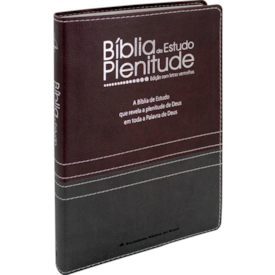 Segunda imagem do produto Bíblia de Estudo Plenitude | Letra Normal | ARC | Capa Luxo Bordo e Chumbo