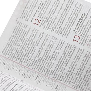 Bíblia de Estudo Plenitude | Letra Normal | ARC | Capa Preta e Vinho | c/ Índice