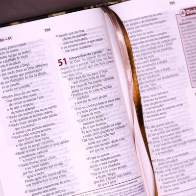 image_d0c58638-6b81-4fdc-8809-abef202689ed