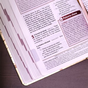 Bíblia de Estudo Plenitude Para Jovens | Letra Normal | NTLH | Capa Dura Marrom Fosco