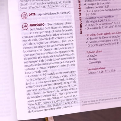 image_329ba5c3-5ec0-459a-8e70-9dbadaee0003