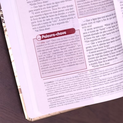 image_5167153a-4dc7-4f1c-a8dc-ec01e595ed0f