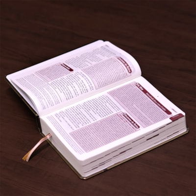 image_7223355f-cf88-41c0-9b3c-446a226f313a