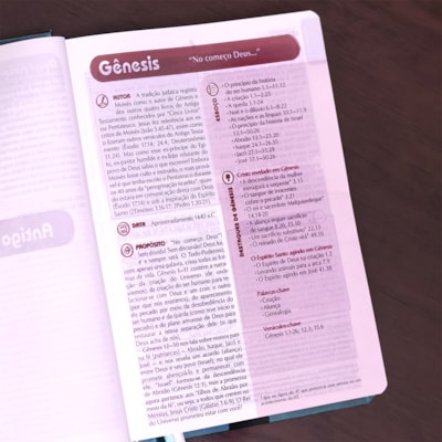 image_9032f8d6-84c9-4353-a8c8-97e4c105dd3f