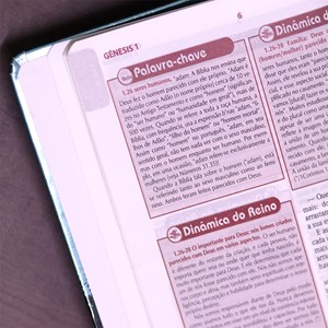 Bíblia de Estudo Plenitude Para Jovens | Letra Normal | NTLH | Capa Dura Verde Brilho