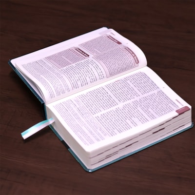 image_9738bc4c-25b0-4a64-a98e-975e7fefd7ee