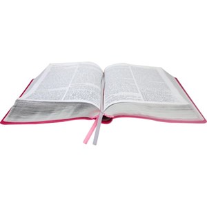 Bíblia de Estudo Pregando com Poder | ARC | Goiaba