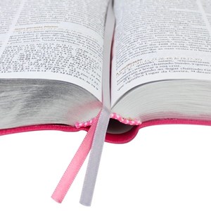 Bíblia de Estudo Pregando com Poder | ARC | Goiaba