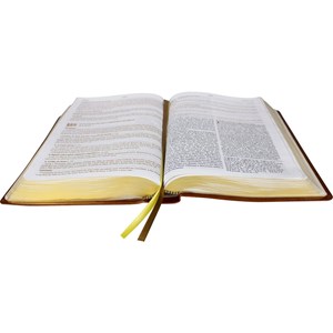 Bíblia de Estudo Pregando com Poder | ARC | Letra Normal | Capa Marrom