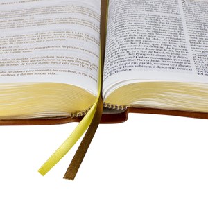 Bíblia de Estudo Pregando com Poder | ARC | Letra Normal | Capa Marrom