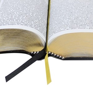 Bíblia de Estudo Pregando com Poder | ARC | Preta