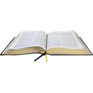 Bíblia de Estudo Pregando com Poder | ARC | Preta