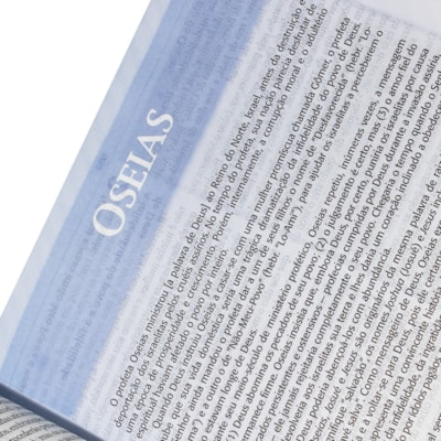 image_4fd29175-14b0-43be-a7b2-b2eca74c67c7