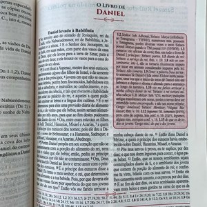 Bíblia de Estudo Reformadores | KJF | Letra Normal | Capa Luxo Caramelo