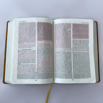 image_3f126e97-3ec6-4969-b1c6-17f6f8e7f3e3