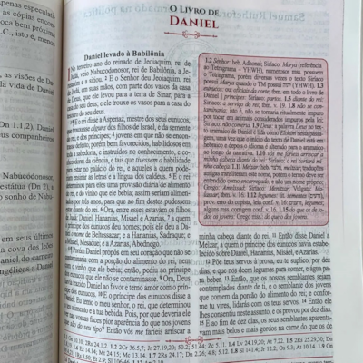 image_b52bad26-0e71-4cda-a3d4-70d7f8dde0e0