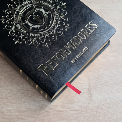 image_96901c94-ad4b-42e9-83e4-67e7ff2d4446