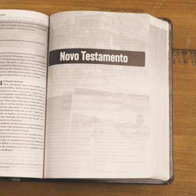 image_63e85782-65d0-4c61-9614-391751aace1c