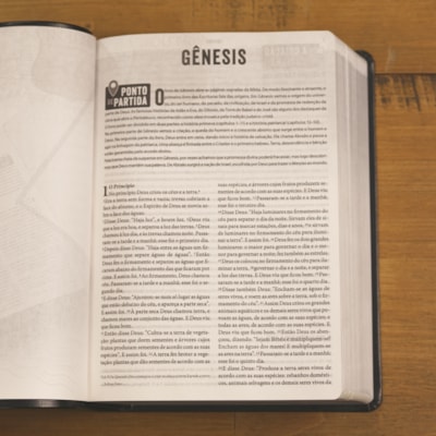 image_08f193b4-5851-4e80-a68c-8d8995aa07c6