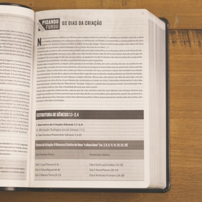 image_807d5ed9-d83e-472f-8ff4-221ee05470a1