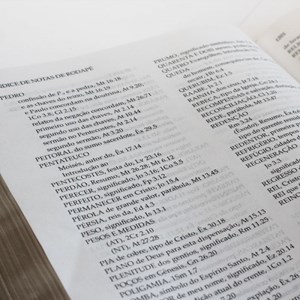 Bíblia de Estudo Scofield  | ACF |Concordância | Capa Preta Luxo