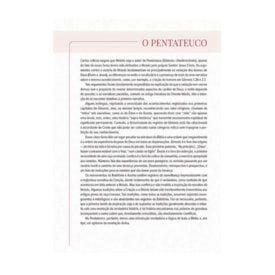 Segunda imagem do produto Bíblia de Estudo Scofield | AEC | Capa Vinho Luxo