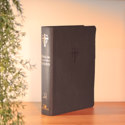 image_311b80bf-e464-4150-92fe-495ca21c1bf7