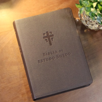 image_242a421f-d8b6-4c30-8fc7-1a9cac8f09e7