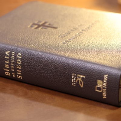 image_a3955d00-3da0-4613-b865-198a11621002