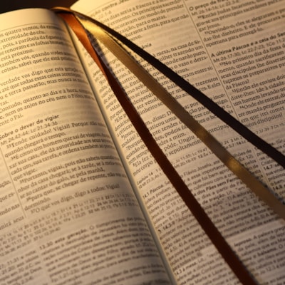 image_be4514ec-13be-407b-8d5d-672b2ff78cd5