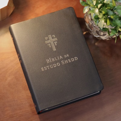 image_0b1c7731-7999-41b3-b1bf-5c1043350c8b