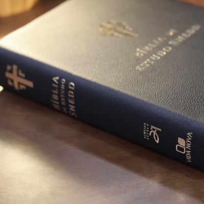 image_25fe26cf-ef1e-487e-aee3-ea2869bca0ba