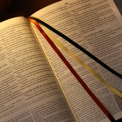 image_c9fde0c5-fa49-434f-959f-9849f4d82598