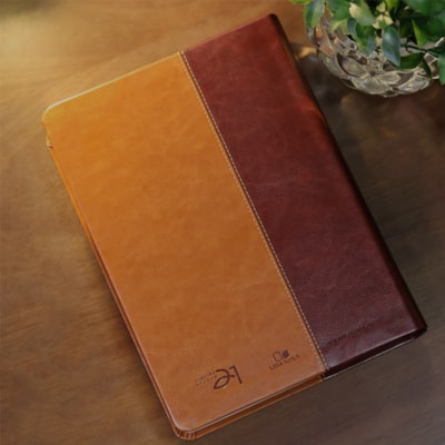 image_59a1177f-9807-454f-8592-12b8458cc385