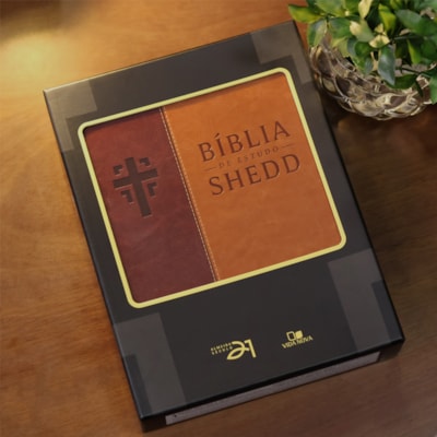 image_d5d16d49-2daf-4f23-b90f-c1d9b619b4f8