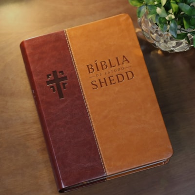 image_23a0db70-453f-4656-bde8-2f082a5672ae