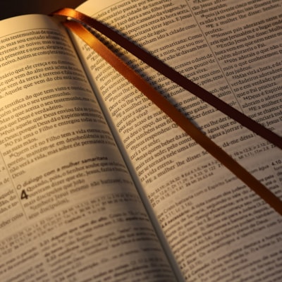 image_fa283625-cbdf-45f2-a89e-3d1759d8f086