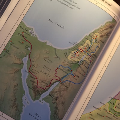 image_ae7d28fa-bcb4-482f-b8f7-dd2e902ea94e