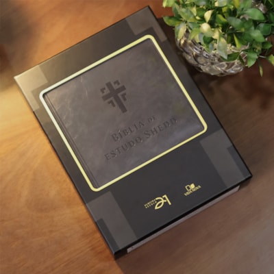 image_526bcb4d-068e-42a3-9695-9bf662f41da6