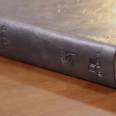 image_b6508544-ea56-42c8-9845-f99f59febb2b